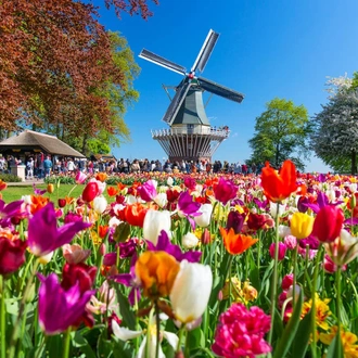 tourhub | Leger Holidays | Springtime Gardens of Holland 