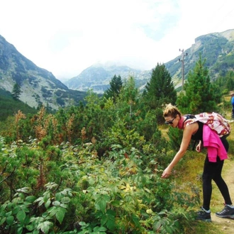 tourhub | Green Valleys | 8 Days Mountain Yoga Retreat and Thermal mineral water. 