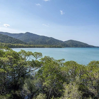 tourhub | Intrepid Travel | Daintree & Cape Tribulation Adventure 