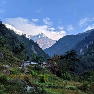 tourhub | Alpine Ramble Treks | 12 Day Annapurna Base Camp Hike 