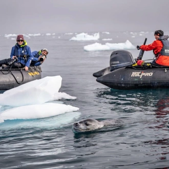 tourhub | Intrepid Travel | Best of Antarctica: Wildlife Explorer (Ocean Endeavour) 