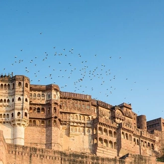 tourhub | Jee Tours | 9-Day Golden Triangle Tour with Jodhpur and Pushkar by Motor Bike 