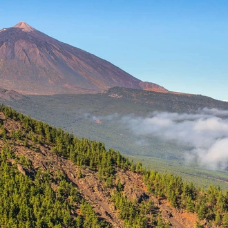 tourhub | Explore! | Canary Islands Walking - La Gomera and Tenerife 