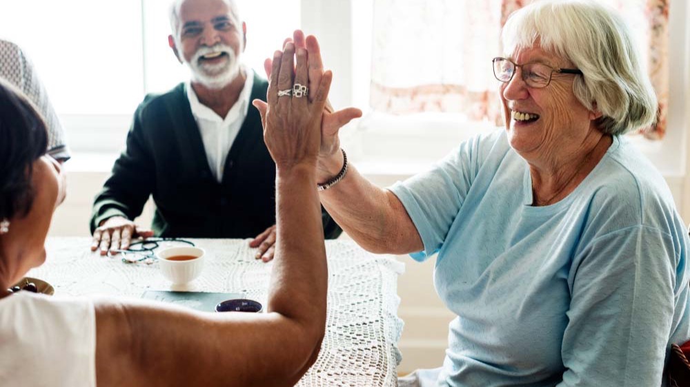 Représentation de la formation : Accompagner les personnes âgées vieillissantes avec ou sans maladies neurodégénératives 