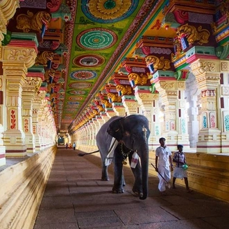 tourhub | Agora Voyages | Temple, Backwater & Palaces of South India 