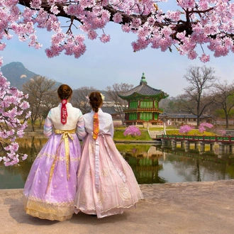 tourhub | Crooked Compass | Founders &  Tour – Cherry Blossoms in North &#038; South Korea 