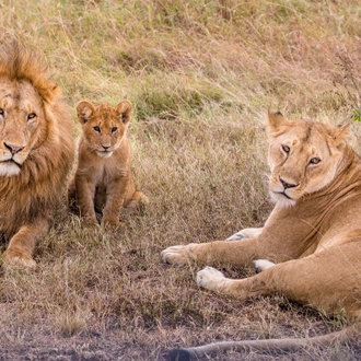 tourhub | Widerange African Safaris | Best 3 days Sharing safari package in Tanzania 