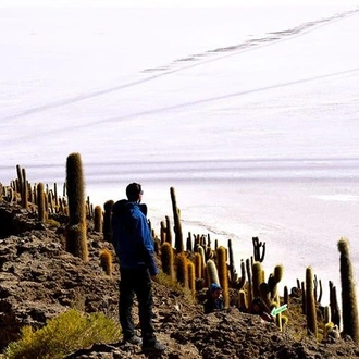 tourhub | Bamba Travel | Uyuni Salt Flats & Desert Adventure 4D/3N (Atacama to La Paz) 