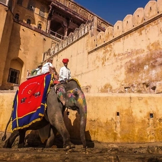 tourhub | Holidays At | Rajasthan Fort and Palace Tour 