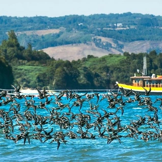 tourhub | Signature DMC | 4-Days Discovery at Unique Lake Region & Puerto Varas in Chile 