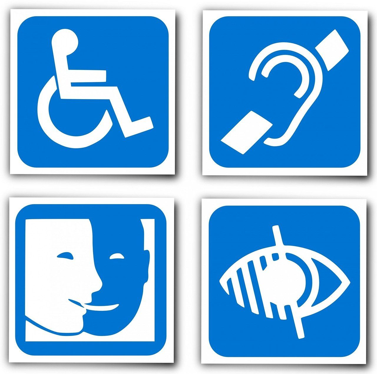 Représentation de la formation : Accessibilité aux personnes en situation de handicap (P.S.H.) (E-learning)