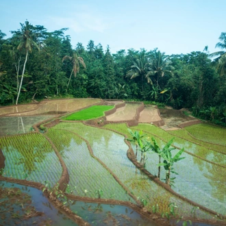 tourhub | G Adventures | Indonesia: Hammocks & Hikes 