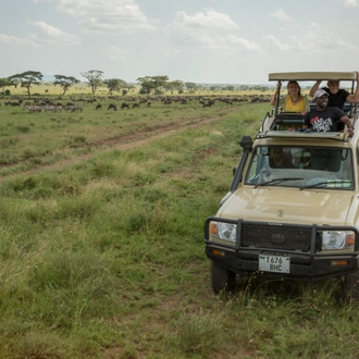 tourhub | G Adventures | Tanzania: Chimp Trekking & Serengeti Safari 