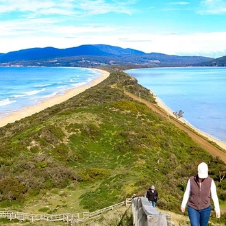 tourhub | Intrepid Travel | Walk Bruny Island & Tasmania's South West 