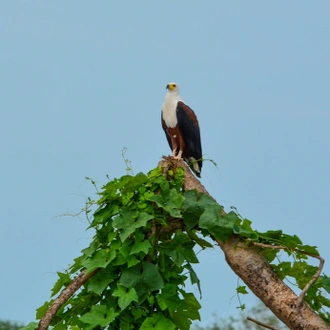 tourhub | Beach and Safari Holidays | Untamed Tanzania: A Journey into the Wild Heart of Africa 