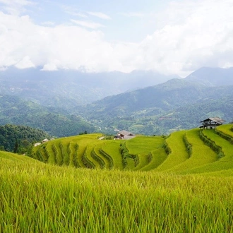 tourhub | Mr Linh's Adventures | Trekking through Hoang Su Phi rice fields 4 days 3 nights 