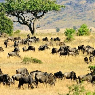 tourhub | On The Go Tours | East Africa Explorer (Accommodated) - 24 days  