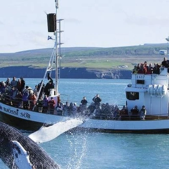 tourhub | On The Go Tours | Wild Iceland & Whale Watching - 8 days 