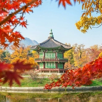 tourhub | Tweet World Travel | Japan & South Korea Small Group Tour 