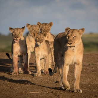 tourhub | Royal Private Safaris | 8 Days Bush To Beach Kenya Safari 