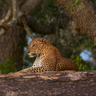 tourhub | Exodus Adventure Travels | Walking Trails of Sri Lanka 