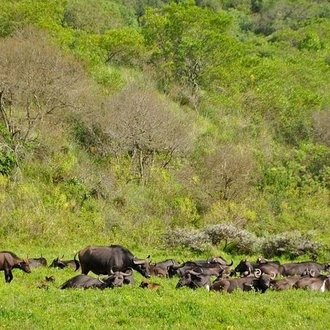 tourhub | Spider Tours And Safaris | 3Days Tanzania Camping Safari 