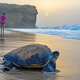 tourhub | Today Voyages | Treasures Of Oman - Standard Category 