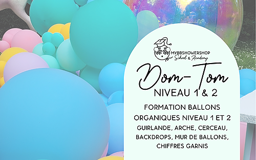 Représentation de la formation : #07A Ballons : Ballons organiques - Niv 1 & 2 DOM TOM