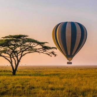 tourhub | Alaitol Safari | Great Migration Grumeti River 