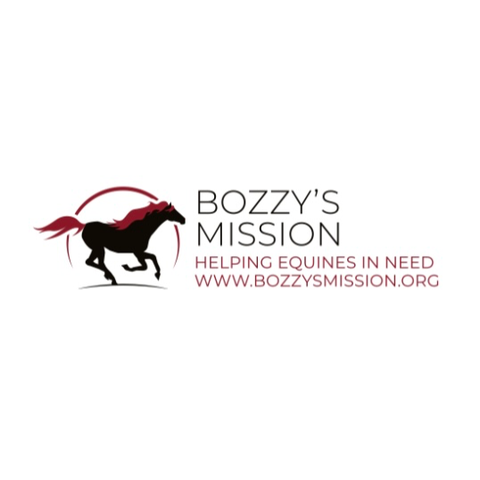 Bozzy's Mission logo