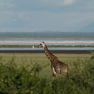 tourhub | Widerange African Safaris | Tanzania Serengeti Migration 6 Days 