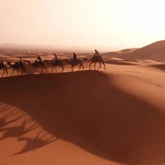 tourhub | On The Go Tours | New Year's in Morocco - 11 Days 