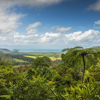 tourhub | Intrepid Travel | Brisbane to Cairns Adventure 