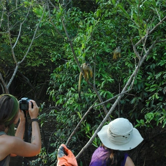 tourhub | Bamba Travel | Madidi Amazon Rainforest Air-Expedition 3D/2N 