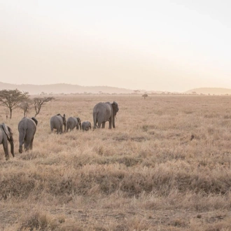 tourhub | Intrepid Travel | Safari to Kilimanjaro - Machame Route 