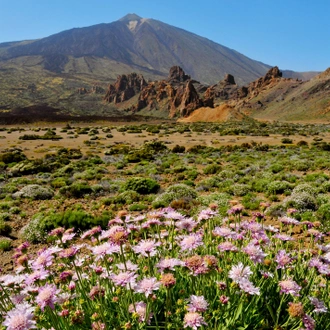 tourhub | Brightwater Holidays | Glorious Gardens of the Canary Islands 715 