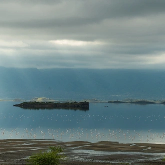 tourhub | Beach and Safari Holidays | Untamed Tanzania: A Journey into the Wild Heart of Africa 