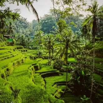 tourhub | TruTravels | Bali Bliss 