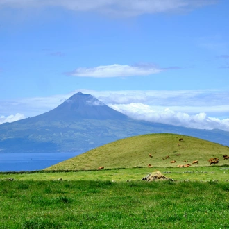 tourhub | Exodus Adventure Travels | Walking in the Azores 