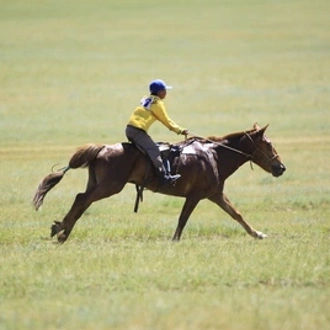 tourhub | Tweet World Travel | Majestic Mongolia: A Journey Through Time, Tradition, and the Spectacular Naadam Festival Marvels 