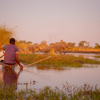 tourhub | Exodus Adventure Travels | Wildlife & Wilderness of Botswana 