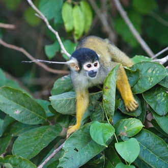 tourhub | Intrepid Travel | Peru & Galapagos Explorer 