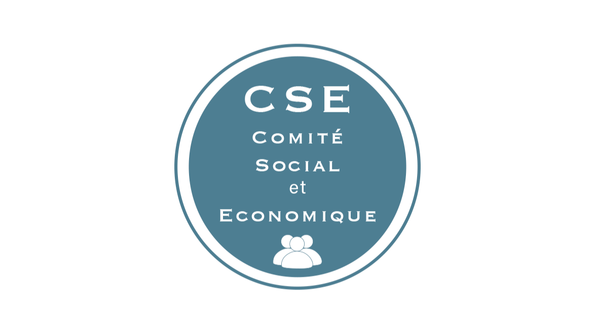 Représentation de la formation : Formation économique du CSE ( 3 jours)