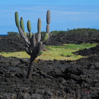 tourhub | Exodus Adventure Travels | Galapagos: In Darwin's Footsteps 