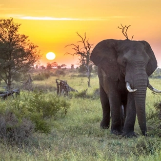 tourhub | Timeline Travel | KRUGER NATIONAL PARK TO CAPE TOWN 