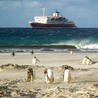 tourhub | G Adventures | Falklands, South Georgia & Antarctica 