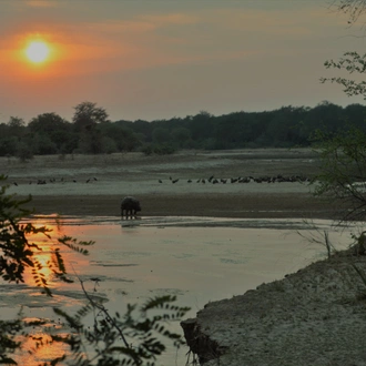 tourhub | Bundu Safaris Ltd | Zambia Walking Safari 