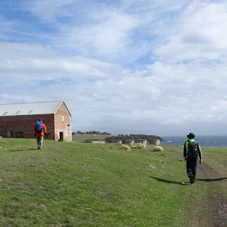 tourhub | Intrepid Travel | Walk Tasmania's East Coast 