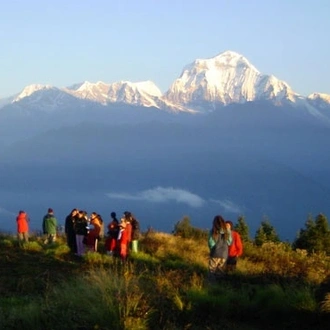 tourhub | Alchemy Travels | Poon Hill Ghorepani Treks 