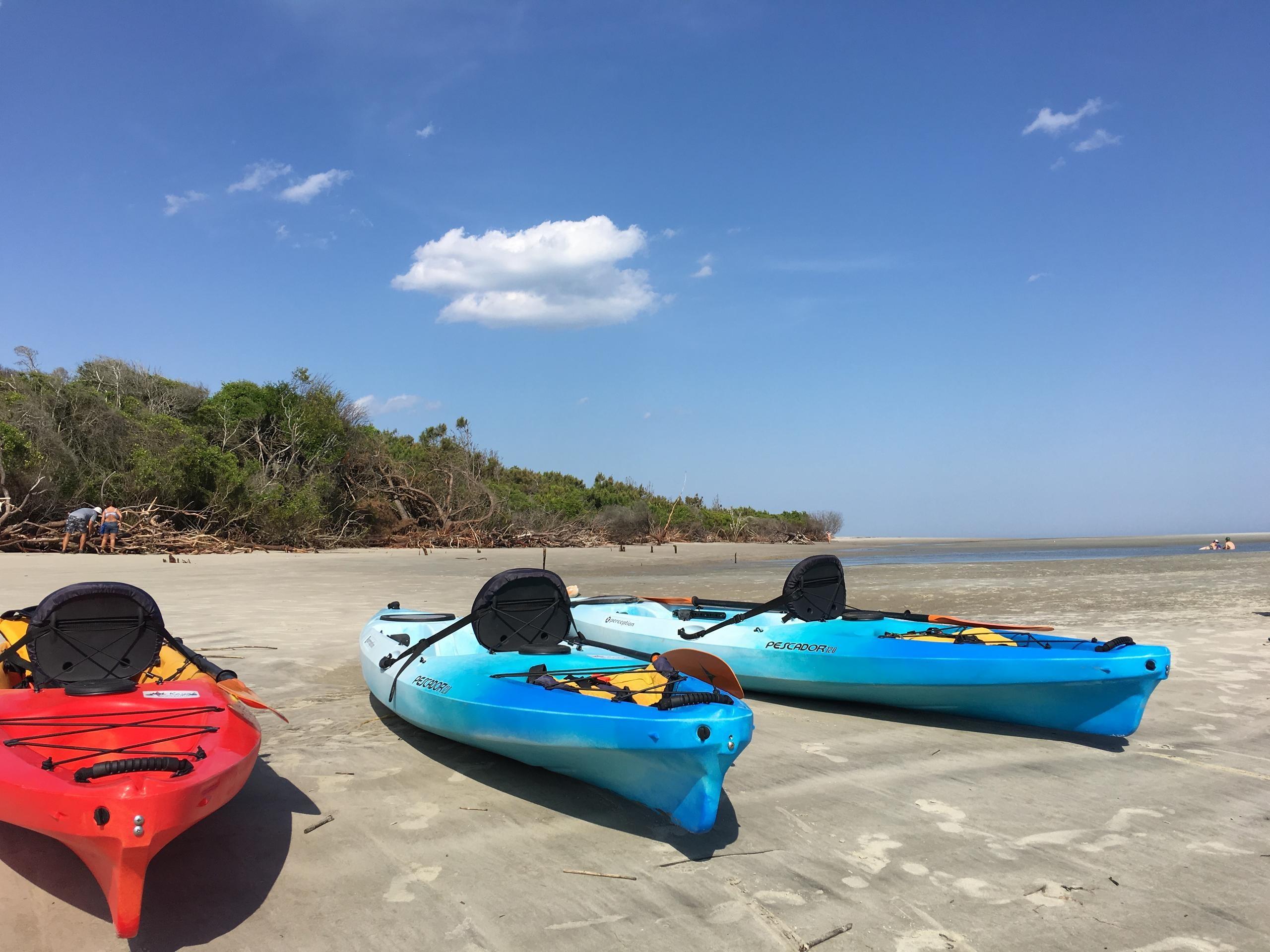 Waties Island Kayak Tour